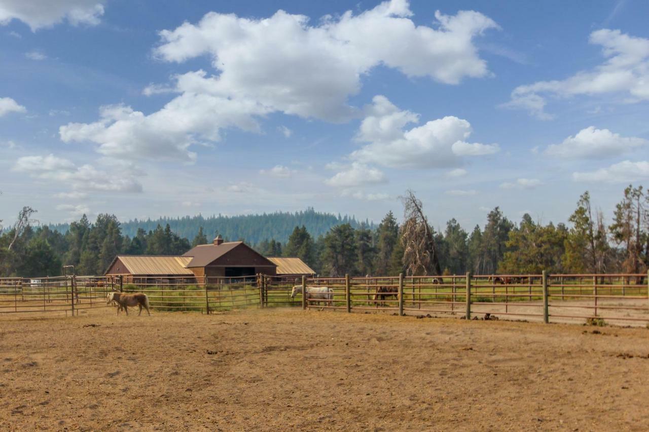 Circle 4 Ranch 25 | Discover סאנריבר מראה חיצוני תמונה